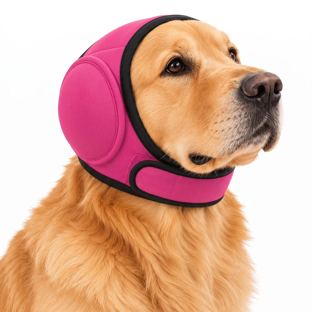QuietPaws Noise-Reducing Dog Ear Muffs